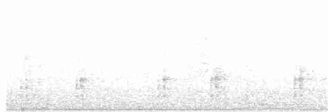 Берберийский кеклик - ML120776381