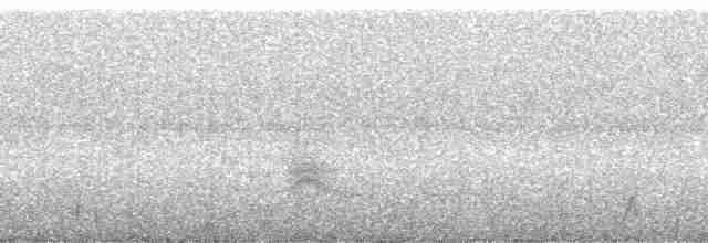 svalehalekotinga (boliviana) - ML120834