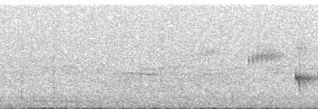 Zeytuni Tırmaşık [griseicapillus grubu] - ML120899