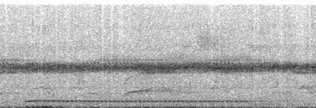 イロマジリゴシキドリ（versicolor） - ML120937