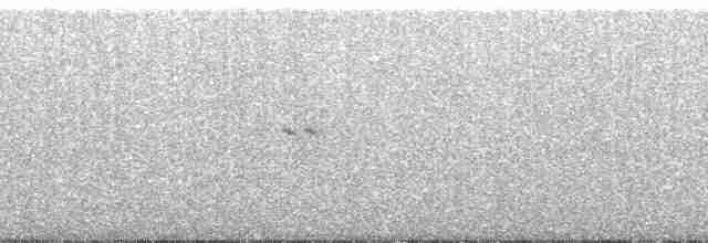 Пенелопа андійська - ML120957