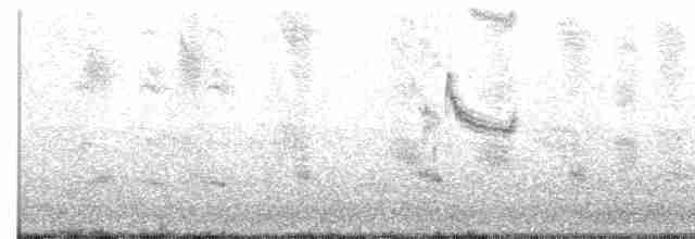 Loggerhead Shrike - ML120977611