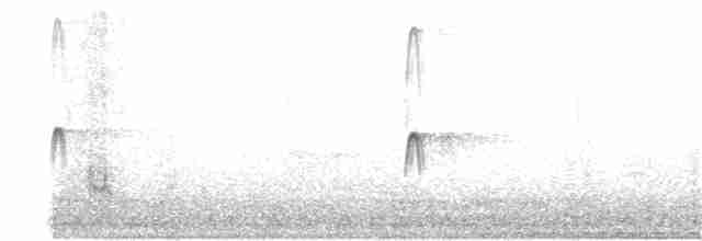 Американский бекасовидный веретенник - ML121133711
