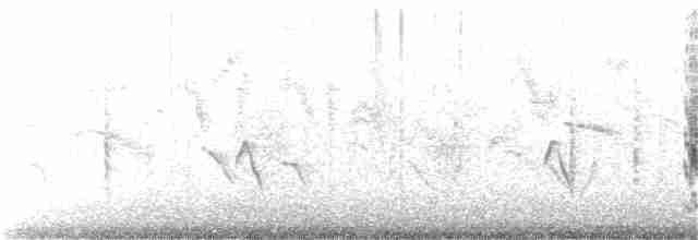 黑冠椋鳥 - ML121235301