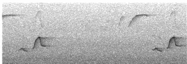 Серогрудый крапивник - ML121261321