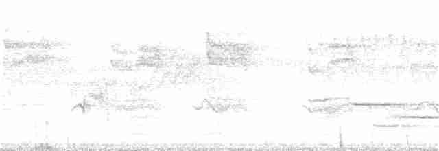 Cerulean Warbler - ML121282631