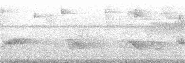 Cerulean Warbler - ML121284841
