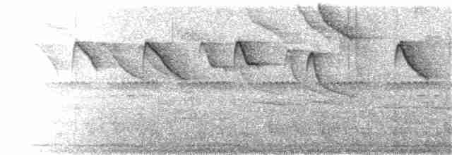 Черногорлый колибри-отшельник - ML121287921