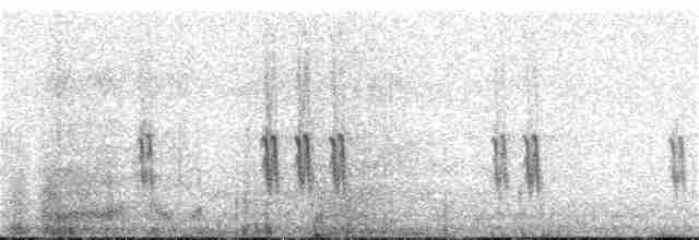 Шишкар білокрилий - ML121408471