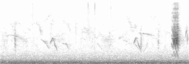 黑冠椋鳥 - ML121527501