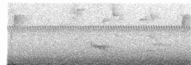Дрізд-короткодзьоб бурий - ML121571711