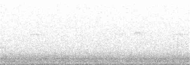 Kuliska hankahori handia - ML121606501