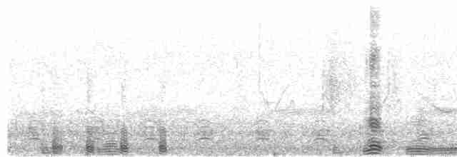 Пухівка горбатодзьоба - ML121655821