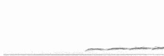 Тихоокеанский коэль - ML121657011
