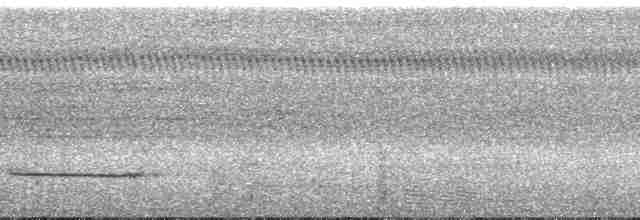 Uzun Kuyruklu Tırmaşık [pallida grubu] - ML121731