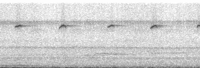 Большеклювый колибри-отшельник [группа moorei] - ML121798