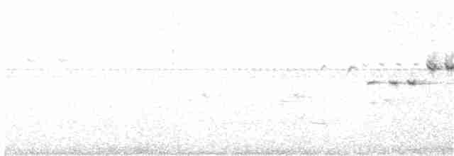 Flavescent Warbler - ML121850981
