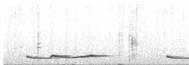 Silky-tailed Nightjar - ML121861251