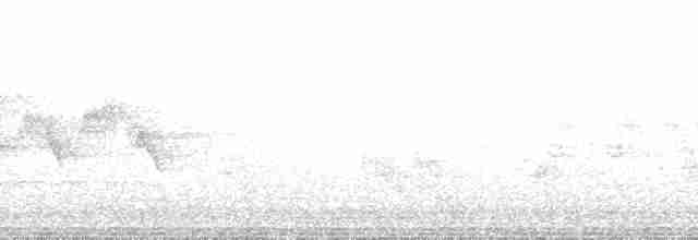 Boz Başlı Sinekkapan (olivascens) - ML121938