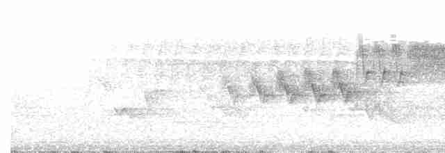 Cerulean Warbler - ML122148801