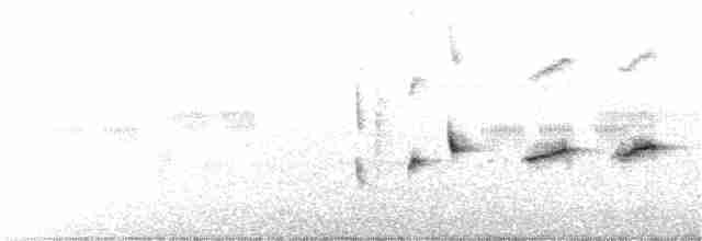 Віялохвістка цяткована - ML122180351