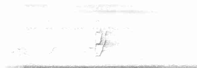 Plum-headed Parakeet - ML122216961