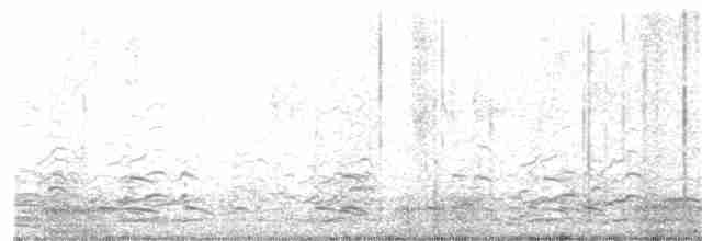 Казарка мала (підвид leucopareia) - ML122238351