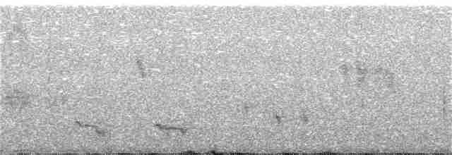 Mirlo Acuático Norteamericano - ML122297911