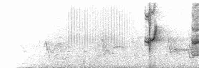 Папуга-довгокрил буроголовий - ML122303401