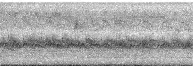 Буроголовая щурка - ML122413881
