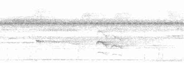 White-flanked Antwren - ML122420341
