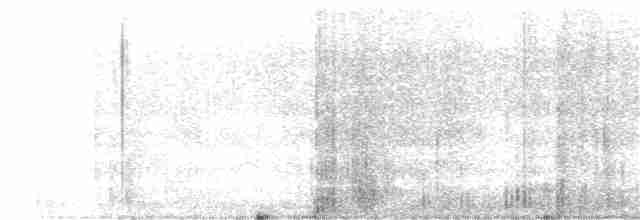 Чернокрылая земляная горлица - ML122555251