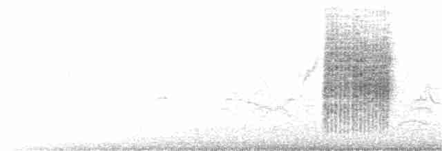 Long-tailed Shrike - ML122658611