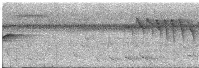 Turuncu Göğüslü Trogon [dulitensis grubu] - ML122671161
