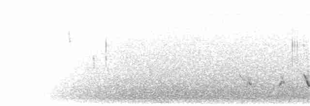 Кустарниковая славка-монашка - ML122689521