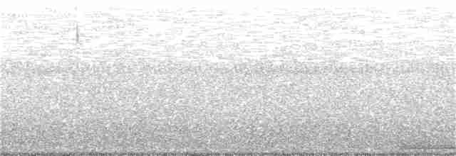 holub skvrnokřídlý - ML122696301
