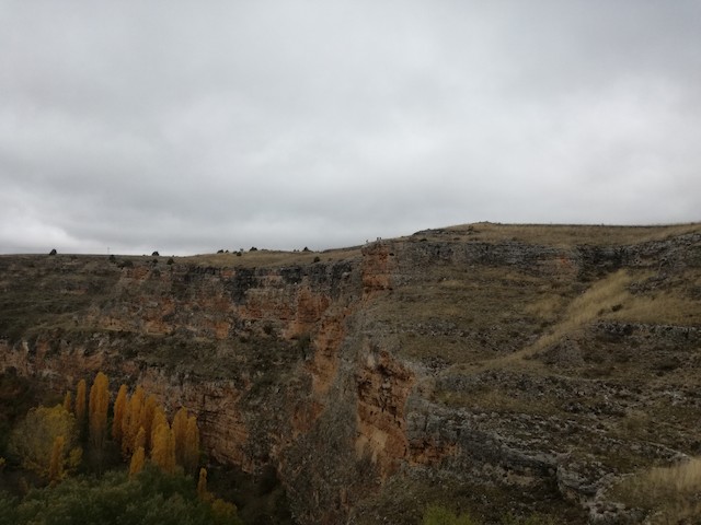 Three vultures resting on the top of a cliff. - Eurasian Griffon - 