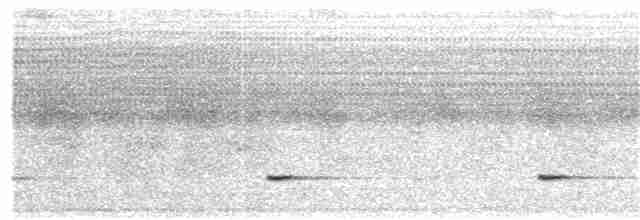 Small-billed Tinamou - ML122740461
