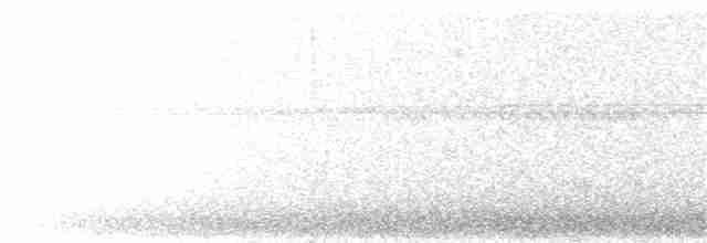 krahujec americký (ssp. chionogaster) - ML122745841