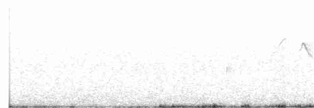 Plumbeous Sierra Finch - ML122756311