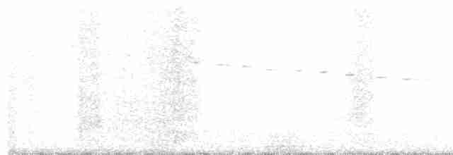 White-breasted Whistler - ML122788501