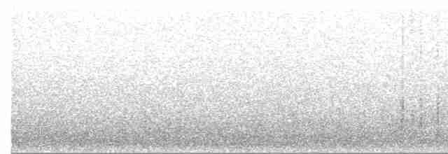 Black-throated Gray Warbler - ML122881401