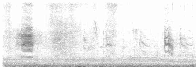 Long-tailed Shrike - ML122974291