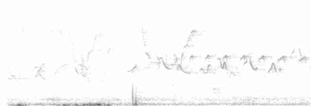 Güneyli Bıyıksız Tiranulet - ML123197281