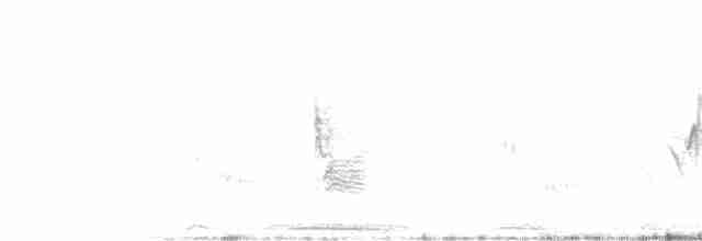 Mascarita Equinoccial (velata) - ML123197381