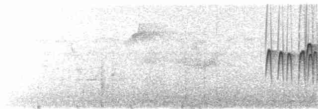 Серпокрилець південноазійський - ML123244411