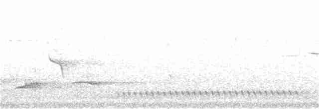 Ядлівчак сірий - ML123262511