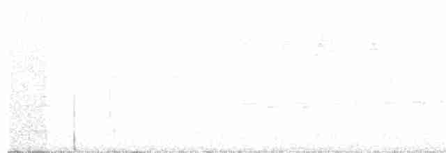 Усатый шипоклюв - ML123299761