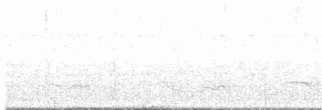 Soluk Karınlı Ardıç - ML123371371