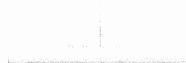 Blyth's Reed Warbler - ML123466271
